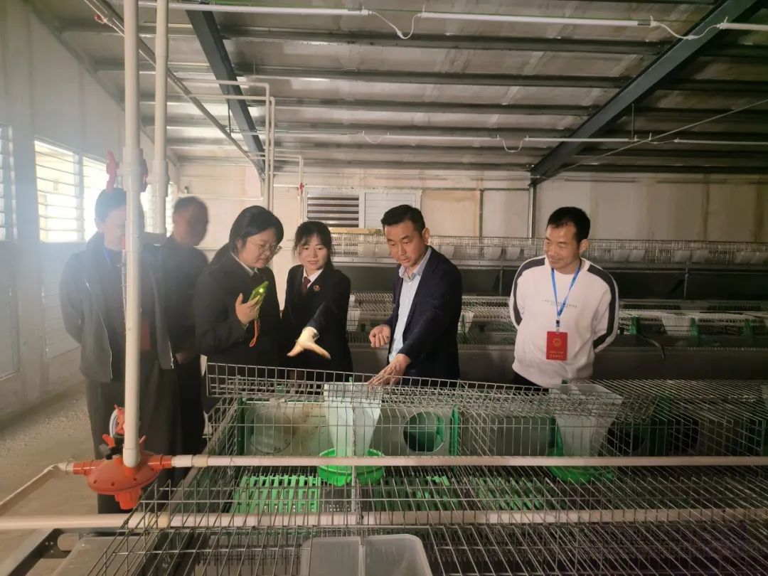 联络站点题，养殖场答题，法律监督与乡村振兴同频共振